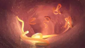 Tapeworms can infest the body through the human intestines.